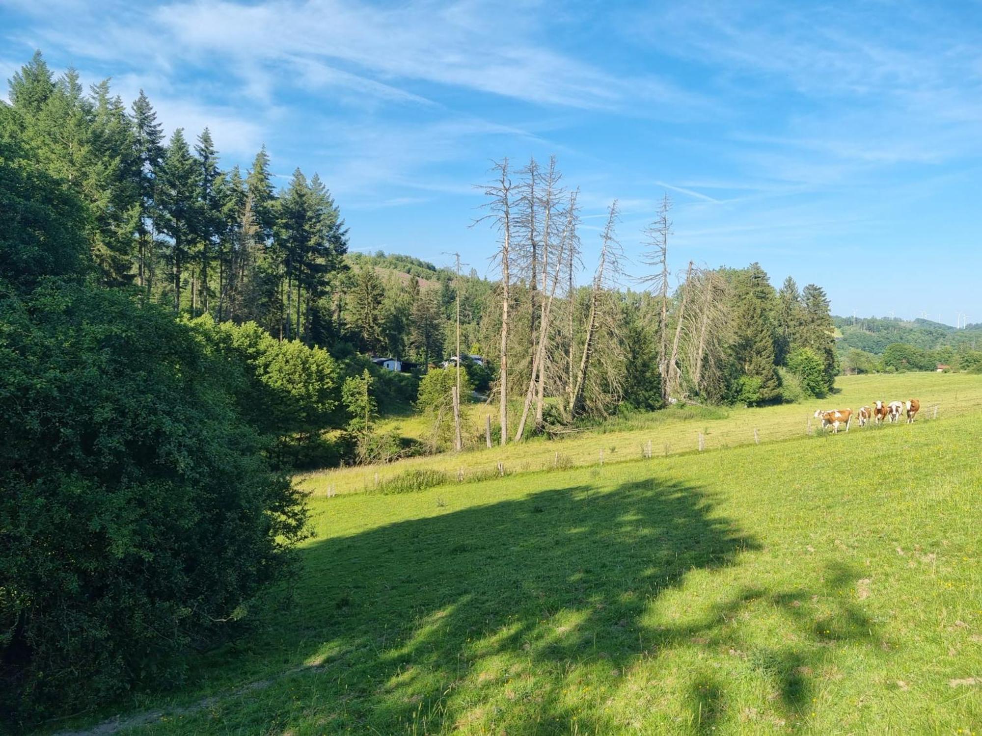 Explorer'S Lodge & Camping Helminghausen エクステリア 写真